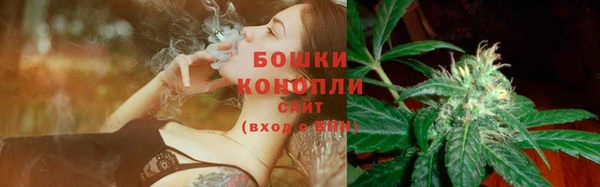 2c-b Рославль