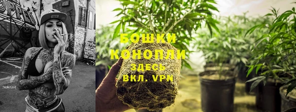 spice Россошь