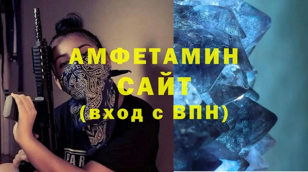 индика Волоколамск