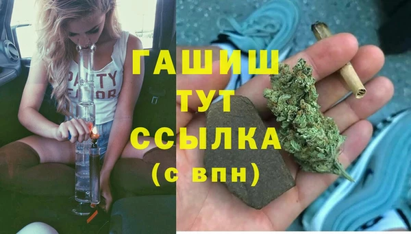 ГАЛЛЮЦИНОГЕННЫЕ ГРИБЫ Надым