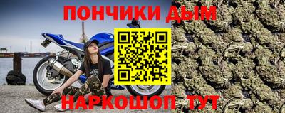 стафф Гай