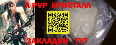 стафф Гай