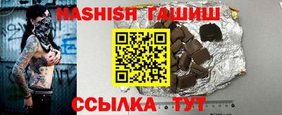 стафф Гай