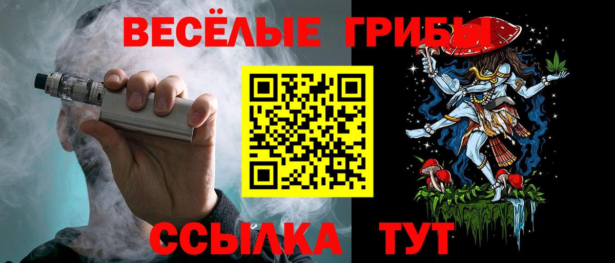 Псилоцибиновые грибы Psilocybe  Вход с VPN  Ангарск 