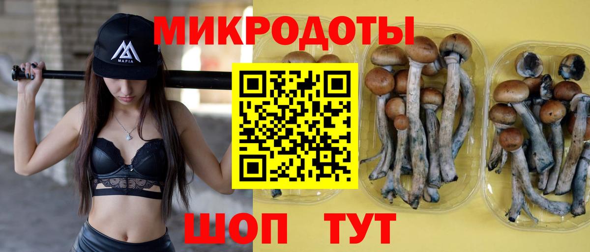 Галлюциногенные грибы ЛСД  Ангарск  Галлюциногенные грибы ЛСД 