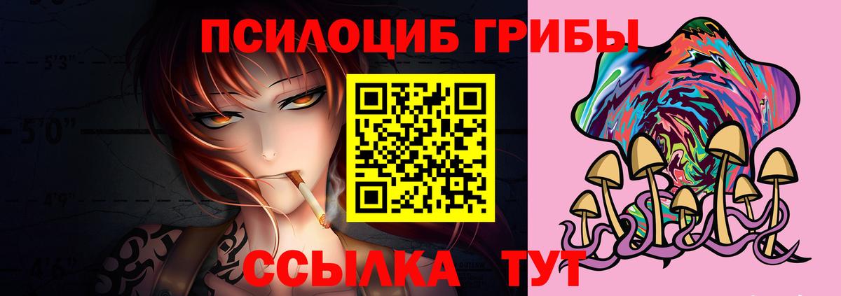 Ангарск  Псилоцибиновые грибы Psilocybine cubensis  Вход с VPN 
