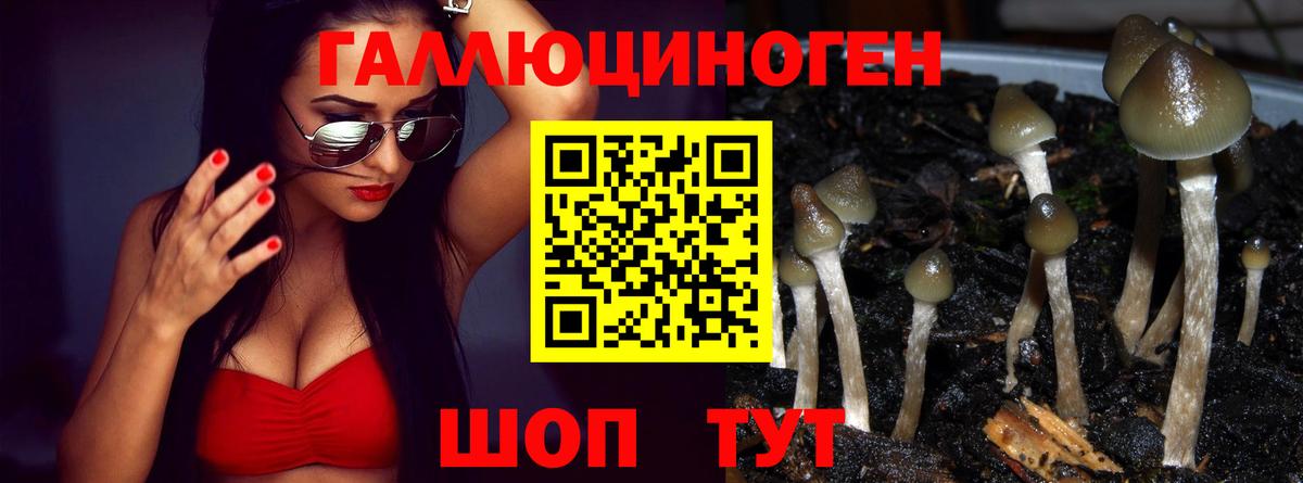 Псилоцибиновые грибы Psilocybine cubensis Ангарск